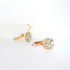 Eternity Earrings Clear Crystal 18K Gold Plated Lush Addiction Crystals From Swarovski Model